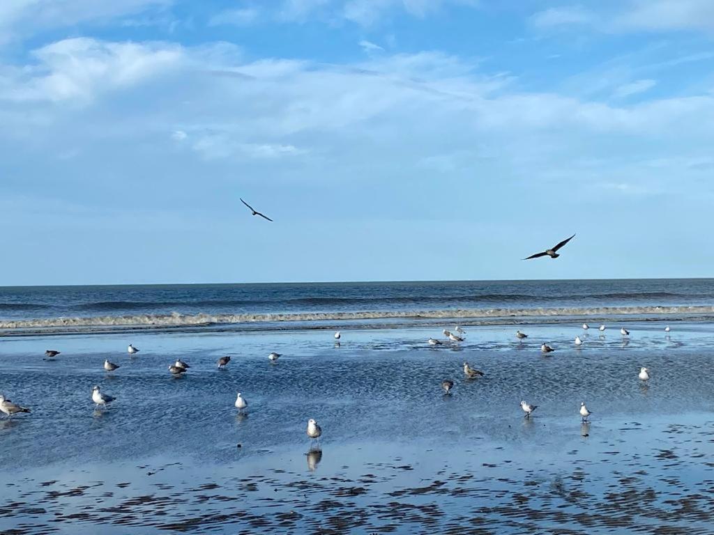 L'Escale A Deauville Bagian luar foto